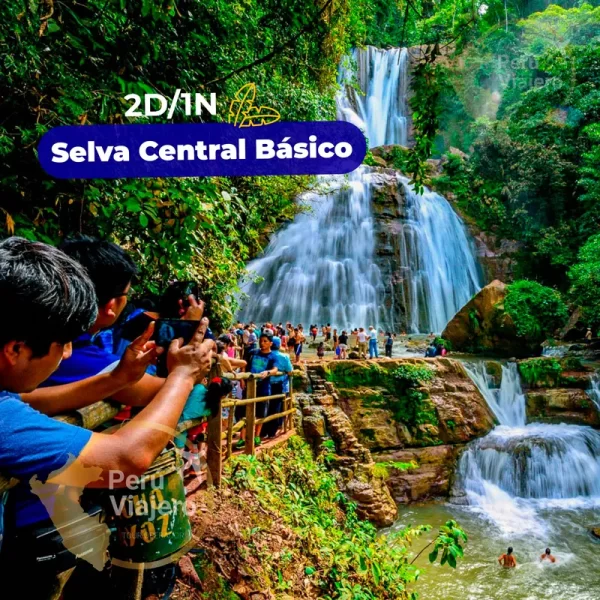 Selva Central Básico
